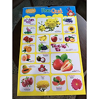 NDB - Tranh treo tường bách khoa toàn thư cho bé