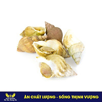 Ốc bulot Ireland
