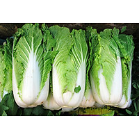 01 Gói Hạt Giống Cải Thảo - Nảy Mầm Cực Chuẩn
