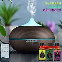 Máy Khuếch Tán Tinh Dầu Quả Bí Ngô Đen, Kèm Remote Điều Khiển | Tặng 3 Chai Tinh Dầu 10ml: Sả Chanh + Bạc Hà + Oải Hương | Xông Phòng 30m2