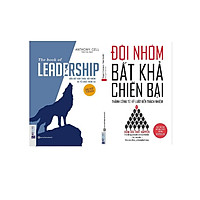 Combo kỹ năng và làm việc và lãnh đạo đội nhóm ( Đội nhóm bất khả chiến bại+ Laedship Dẫn
