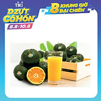 Cam Kiến Vàng Vĩnh Long - Vắt Nước (7-8 quả/kg) - Túi 5kg - Đặc Sản Ngon Lành - Foodmap