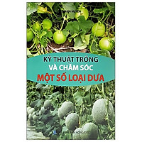 Kỹ Thuật Trồng Và Chăm Sóc Một Số Loại Dưa