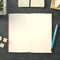 Sổ tay planner "Lõi sổ (ruột sổ) Chấm Bi " bìa cứng 21x11 ghi chép - planner - kế hoạch - nhật ký - vẽ