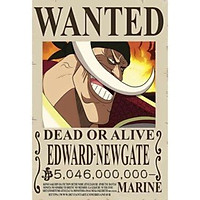 Poster Truy Nã Team Mũ Rơm Onepiece RÂU TRẮNG - bìa cứng kẹp sách A5 đẹp chất