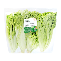Xà Lách Lô Lô Xanh Hasfarm 300G