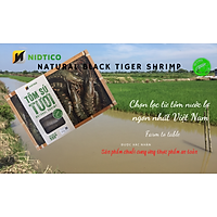 Tôm sú TƯƠI tự nhiên NIDTICO-Đông IQF (51-60con/kg)