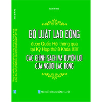 BỘ LUẬT LAO ĐỘNG ĐƯỢC QUỐC HỘI THÔNG QUA TẠI KỲ HỌP THỨ 8 KHÓA XIV - CÁC CHÍNH SÁCH VÀ QUYỀN LỢI CỦA NGƯỜI LAO ĐỘNG