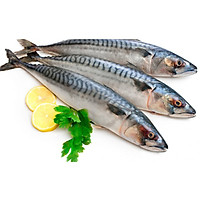 Cá nục bông Nhật Bản - Hàng đông lạnh nhập khẩu - 1kg