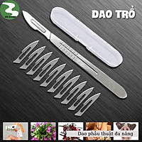 Dao mổ thú y DOCTORE Kèm 10 lưỡi dao số 23