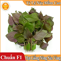 Hạt giống Rau Tía Tô ( Gói 2 Gram ) - Nông Sản Vàng