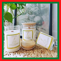 Nến Thơm Candle Cup - Mùi GINGERGRASS