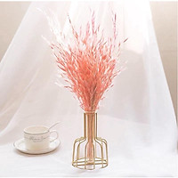 Hoa Khô Yến Mạch Aveena (Oats), Hoa Yến Mạch Khô Trang Trí, Decor Phòng