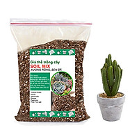 Đất trồng sen đá trộn sẵn siêu sạch-Trồng xương rồng, sen đá-Cung cấp đầy đủ chất dinh dưỡng cho cây trồng- TÚI 2KG