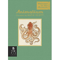 Sách Animalium (Mini Gift Edition)