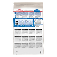 Thức Ăn Cho Mèo Royal Canin Indoor 27 (10kg)