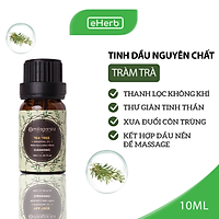 Tinh Dầu Tràm Trà Nguyên Chất Thơm Phòng, Đuổi Muỗi, Giảm Stress MILAGANICS 10-30ml (Chai)