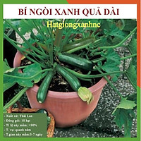 Gói 15 Hạt giống quả bí ngòi xanh, dễ trồng, giầu dinh dưỡng, tỷ lệ này mầm cao