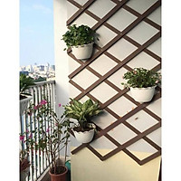 Chậu Ốp Tường - Chậu Nhựa Trồng Cây Treo Tường Decor Đẹp - Kích thước 25x16x16cm vật tư cây trồng