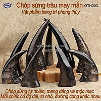 Chóp sừng trâu vật phẩm phong thủy (OTH003) HOT nhất của năm trâu vàng 2021 - giàu sang - phú quý