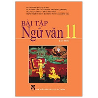 Bài Tập Ngữ Văn 11/1 (T9)