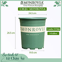 3 Chậu nhựa trồng cây MONROVIA 3 Gl, chậu trồng cây, chậu cây cảnh mini, để bàn, treo ban công, treo tường, cao cấp, chính hãng thương hiệu MONROVIA