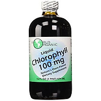 World Organics Chlorophyll Supplement, 100 mg, 16 Ounce