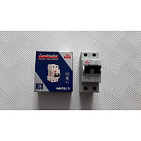 CẦU DAO CB APTOMAT 2P-HAVELLS ẤN ĐỘ -10KA