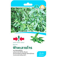 Hạt giống xuyên tâm liên, hạt giống nhập khẩu Thái Lan, gói 20 hạt