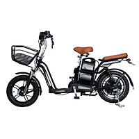 Xe Đạp Điện DK Poke New