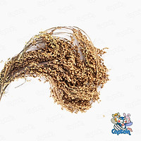 Ngũ cốc nguyên cành cho Hamster
