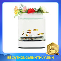 BỂ CÁ THỦY SINH, HỒ CÁ MINI ĐỂ BÀN