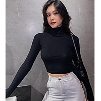 Free ship_Áo thun tay dài cổ lọ Chất Gân