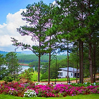 Tour Đà Lạt Khứ Hồi Xe Lửa 3N4Đ Đón Xuân - Khám Phá Nhà Ga Cao Nhất Việt Nam