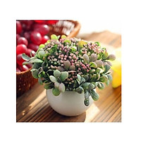 Hoa quả giả, chậu cỏ giả điểm nụ hoa nhí để bàn, kệ tủ trang trí nhà cửa nhiều mẫu đẹp