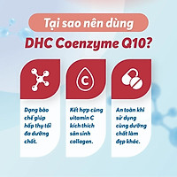 Viên uống chống lão hóa da DHC Coenzyme Q10 (γ-Cyclodextrin Complex)