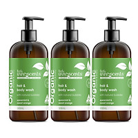 Bộ 3 chai Little Innoscents - Dầu gội và tắm - Organic Spearmint - Orange Hair Body Wash