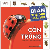 Bí Ẩn Thế Giới Loài Vật: Côn Trùng (Tái Bản 2019)