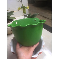 CHẬU HOA ỐP TƯỜNG HÌNH QUẢ BÍ TRỒNG HOA KIỂNG HD 20 X 11 X 18