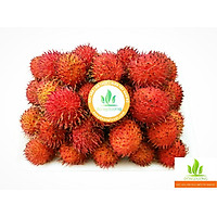 Chôm chôm nhãn Bến Tre không cành 1 kg