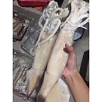Mực Ống Nguyên Con_1Kg