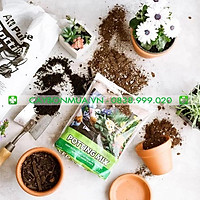 1kg Đất Sạch Trồng Cây Siêu Dưỡng Chuyên Dùng Cho Dâu Tây, Sen đá.