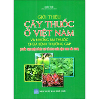Giới Thiệu Cây Thuốc Ở Việt Nam Và Những Bài Thuốc Chữa Bệnh Thường Gặp