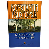 Bông Hồng Vàng Và Bình Minh Mưa