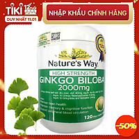 Viên uống bổ não Nature's Way Ginkgo Biloba 2000mg