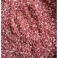 GẠO LỨC HUYẾT (ĐỎ) CHO NGƯỜI GIẢ M CÂN (RẤT TỐ T CHO SỨC KH ỎE)