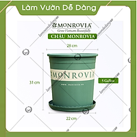 3 Chậu nhựa trồng cây MONROVIA 5 GL, chậu trồng cây, chậu cây cảnh mini, để bàn, treo ban công, treo tường, cao cấp, chính hãng thương hiệu MONROVIA