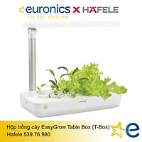 HỘP TRỒNG CÂY EASYGROW TABLE BOX (T-BOX)/539.76.980 - HÀNG CHÍNH HÃNG
