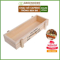 Chậu gỗ trồng cây cảnh, sen đá xương rồng tiểu cảnh, chậu gỗ trồng cây chữ nhật