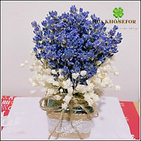 Hoa khô Lavender ️Lọ hoa Lavender để bàn, làm quà tặng